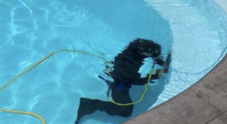 DIY vs. Professional Pool Leak Detection: Which Approach Is Right for You?